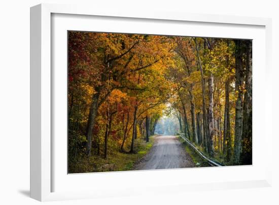 Rural USA with Trees in Autumn Along Track-Jody Miller-Framed Photographic Print