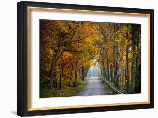 Rural USA with Trees in Autumn Along Track-Jody Miller-Framed Photographic Print