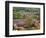 Rural Village of Sabile in the Kurzeme Region, Latvia-Janis Miglavs-Framed Photographic Print