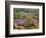 Rural Village of Sabile in the Kurzeme Region, Latvia-Janis Miglavs-Framed Photographic Print