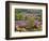 Rural Village of Sabile in the Kurzeme Region, Latvia-Janis Miglavs-Framed Photographic Print