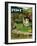 "Rural Wedding" Saturday Evening Post Cover, May 29, 1954-John Clymer-Framed Giclee Print