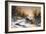 Rural Winter Landscape-balaikin2009-Framed Art Print