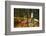 Rush hour traffic in Central, Hong Kong Island, Hong Kong, China, Asia-Fraser Hall-Framed Photographic Print