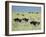 Rush Hour-Pat Scott-Framed Giclee Print