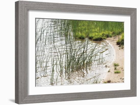 Rushing Reeds-Mike Toy-Framed Giclee Print