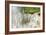 Rushing Reeds-Mike Toy-Framed Giclee Print
