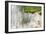 Rushing Reeds-Mike Toy-Framed Giclee Print