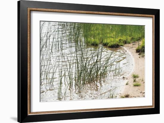 Rushing Reeds-Mike Toy-Framed Giclee Print