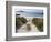 Rushy Bay, Bryher, Isles of Scilly, United Kingdom, Europe-null-Framed Photographic Print