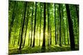 Premium Photographic Print