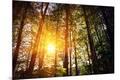 Premium Photographic Print