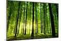 Photographic Print
