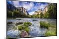 Premium Photographic Print