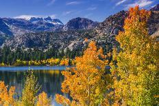 Golden Fall Aspen at June Lake, Inyo National Forest, Sierra Nevada Mountains, California, Usa-Russ Bishop-Photographic Print