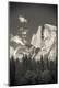 Photographic Print