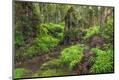 Premium Photographic Print