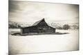 Premium Photographic Print