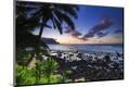Premium Photographic Print