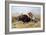 Russell: Buffalo Hunt-Charles Marion Russell-Framed Giclee Print