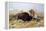 Russell: Buffalo Hunt-Charles Marion Russell-Framed Premier Image Canvas