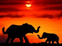 Adult and Young Elephants, Sunset Light-Russell Burden-Photographic Print