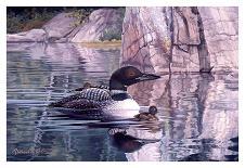 Loon with Baby (detail)-Russell Cobane-Art Print