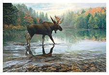 Moose Crossing-Russell Cobane-Art Print