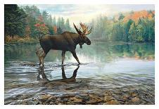 Moose Crossing-Russell Cobane-Framed Art Print