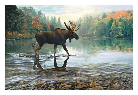 Art Print, , large