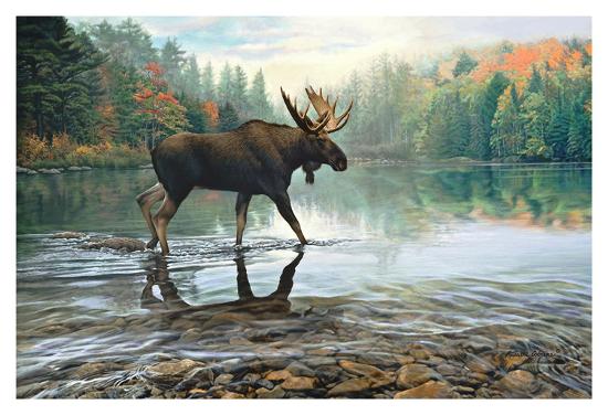 Art Print, , large