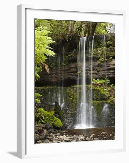 Russell Falls, Mount Field National Park, Tasmania, Australia-David Wall-Framed Photographic Print