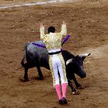 Matador at Monumental El Paso, Bullfight (Fiesta Brava), San Luis Potosi, Mexico-Russell Gordon-Framed Photographic Print