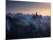 Photographic Print