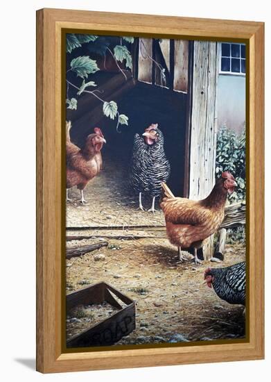 Russell’s chickens-Kevin Dodds-Framed Premier Image Canvas