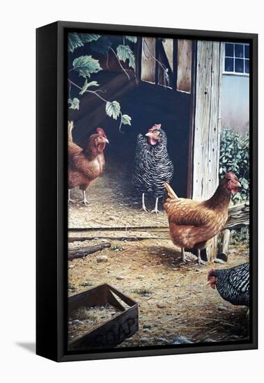 Russell’s chickens-Kevin Dodds-Framed Premier Image Canvas