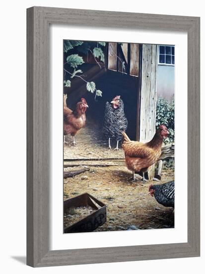 Russell’s chickens-Kevin Dodds-Framed Giclee Print