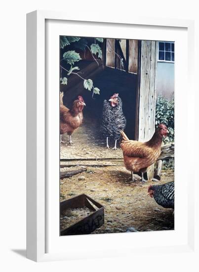 Russell’s chickens-Kevin Dodds-Framed Giclee Print