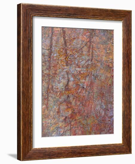 Russet Reflection-Doug Chinnery-Framed Photographic Print