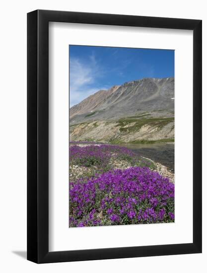 Russia, Chukotka. Senyavina Strait, Proliv Senyavina. Typical countryside.-Cindy Miller Hopkins-Framed Photographic Print