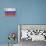 Russia Country Flag - Barnwood Painting-Lantern Press-Framed Stretched Canvas displayed on a wall