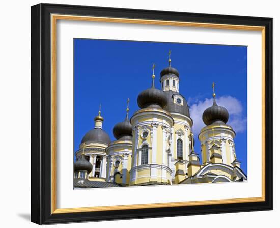 Russia, St Petersburg; Cupolas of the Vladimirsky Church-Nick Laing-Framed Photographic Print