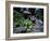 Russian Blue Cat Sunning on Stone Wall in Garden, Italy-Adriano Bacchella-Framed Photographic Print