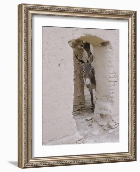 Russian Look of the Land Essay: Donkey Peering Out of Doorway at Merv-Howard Sochurek-Framed Photographic Print