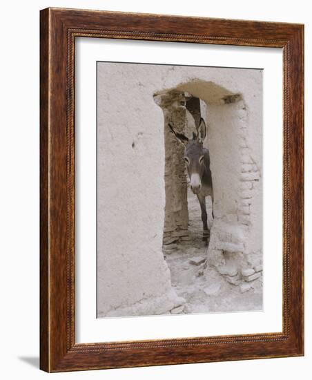 Russian Look of the Land Essay: Donkey Peering Out of Doorway at Merv-Howard Sochurek-Framed Photographic Print