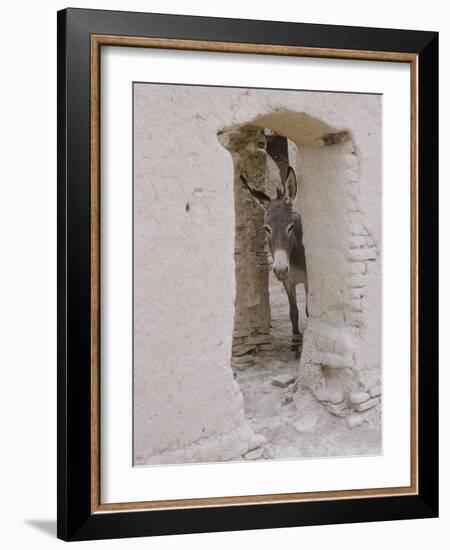 Russian Look of the Land Essay: Donkey Peering Out of Doorway at Merv-Howard Sochurek-Framed Photographic Print