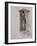 Russian Look of the Land Essay: Donkey Peering Out of Doorway at Merv-Howard Sochurek-Framed Photographic Print