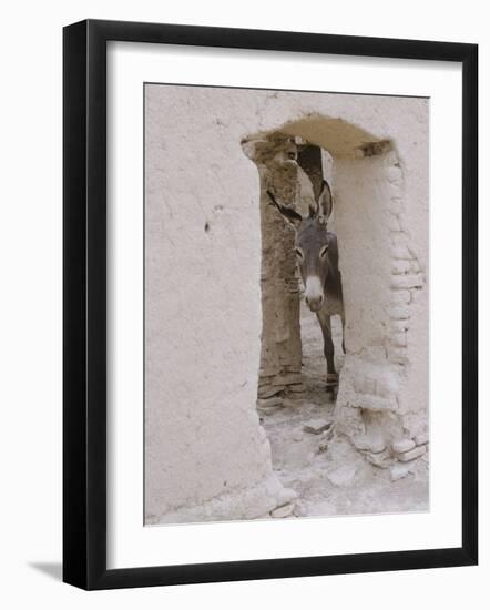 Russian Look of the Land Essay: Donkey Peering Out of Doorway at Merv-Howard Sochurek-Framed Photographic Print