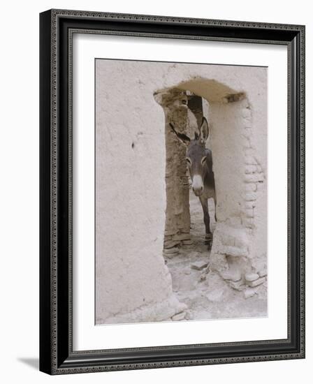 Russian Look of the Land Essay: Donkey Peering Out of Doorway at Merv-Howard Sochurek-Framed Photographic Print