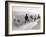 Russian Look of the Land Essay: Donkeys Carring Moslem Peasants on Dusty Road-Howard Sochurek-Framed Photographic Print